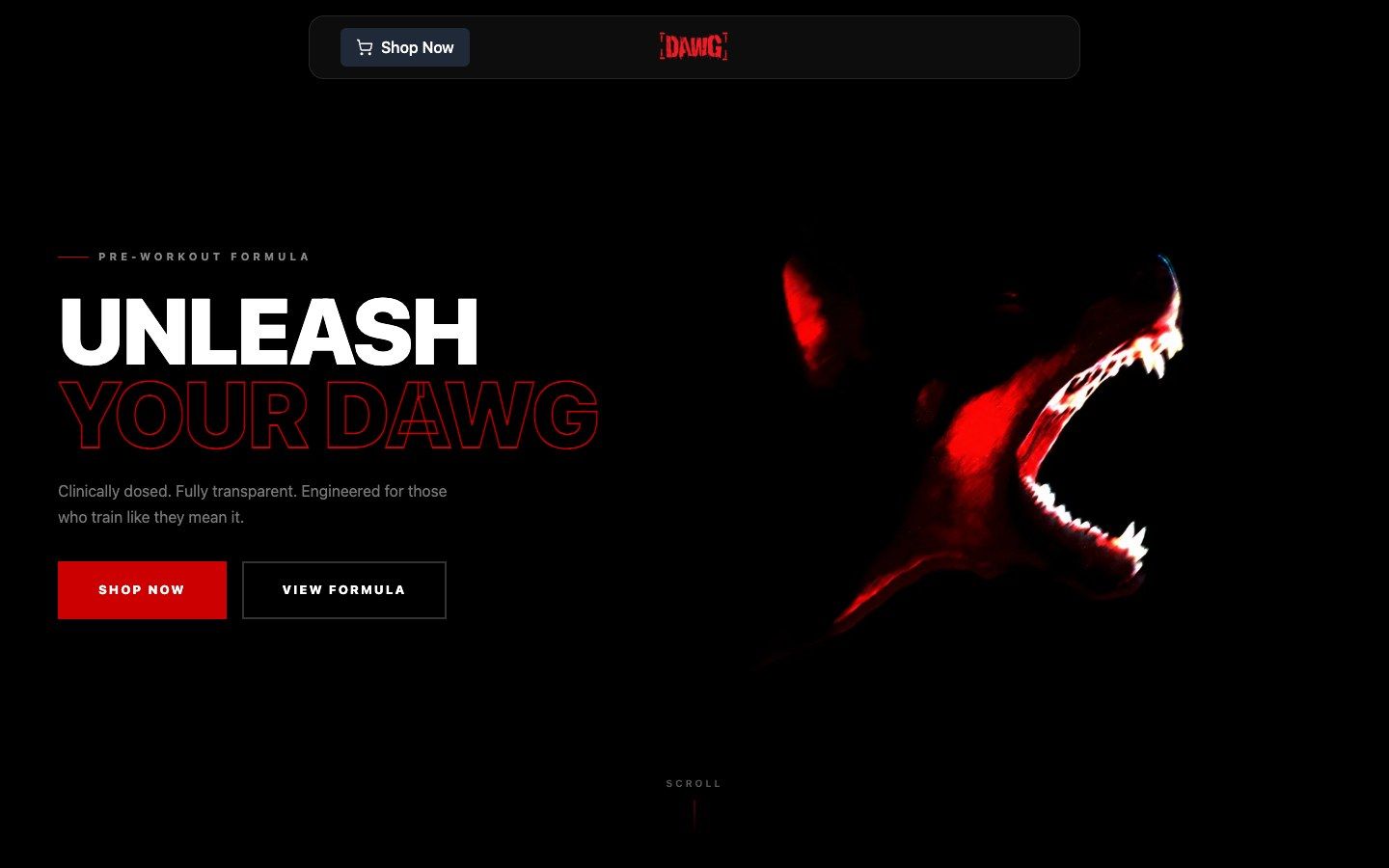 The Dawg Performance homepage, built by Axeom
